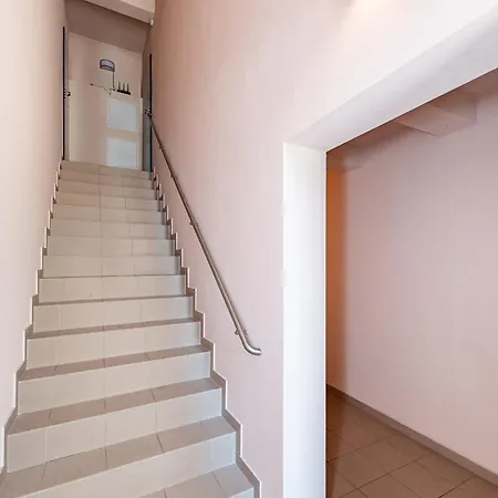 Apartment Accent By Polo